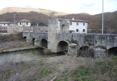 Percorso A piedi Fagnano Alto - Campana - Beffi - Photo