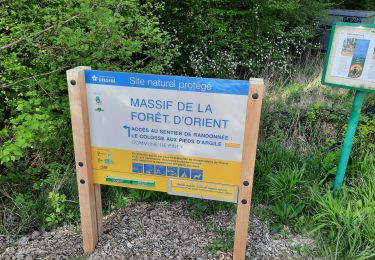 Trail Walking Piney - sentier du colosse d'argile - Photo