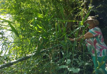 Tour Wandern Beaune - Beaune  - Photo