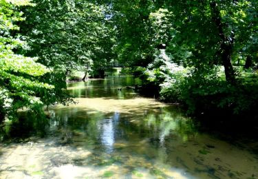 Tocht Te voet Zwierzyniec - Ścieżka Niebieska - Photo