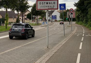 Excursión Bici eléctrica Ostwald - Sans pluie  - Photo