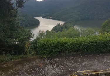 Tocht Stappen Chambles - gorges de la Loire  - Photo