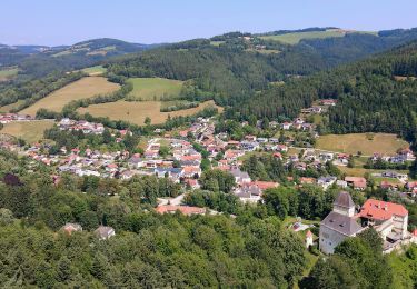 Tocht Te voet Feistritz am Wechsel - Feistritz am Wechsel - Hollabrunner Riegel (Gasthof zur Schönen Aussicht) - Eben - Kirchau - Photo