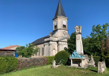 Tour Wandern Buxières-sous-les-Côtes - Buxieres sous les côtes  - Photo