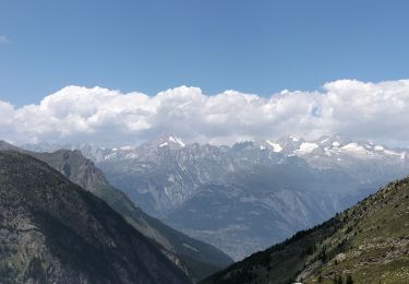 Trail Walking Simplon - Refuge Monté Leone - Photo