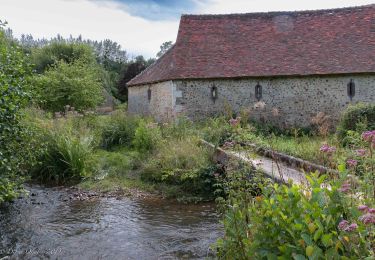 Tour Wandern Bretoncelles - SityTrail - La marche de l'écrevisse Bretoncelles 9,8 Km - Photo