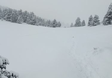 Tour Wandern Saint-Agnan-en-Vercors - Parking de Beurre - Pré Peyret - Photo