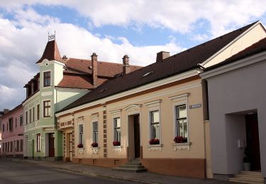 Percorso A piedi Gemeinde Wiesmath - Wiesmath - Hölle Braunstorfer - Annaberg - Wiesmath - Photo