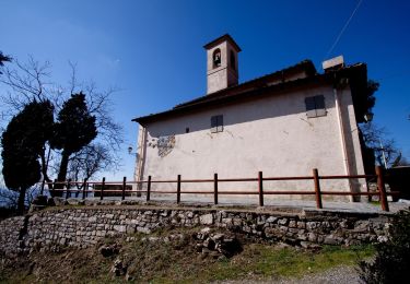 Tour Zu Fuß Sesto Fiorentino - Sentiero CAI 10 - Sez. Sesto Fiorentino - Photo