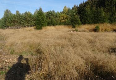 Tocht Stappen Habay - Le grand ruisseau - Photo