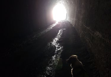 Tocht Stappen Le Lauzet-Ubaye - La Roche - Roche Rousse Taïga - Photo