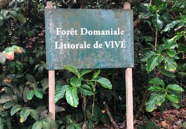 Tocht Stappen Le Lorrain - La Crabière-Tapis Vert - Photo