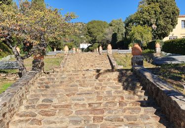 Percorso Marcia Rayol-Canadel-sur-Mer - rayol jardin - Photo