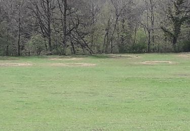 Trail Walking Lect - Vouglans par Lect - Photo