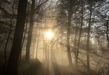 Tocht Te voet Onbekend - NaturZeitReise 4 - Verborgene Zeitzeichen - Photo