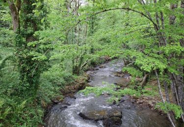 Trail Walking Arifat - Arifat  - Photo