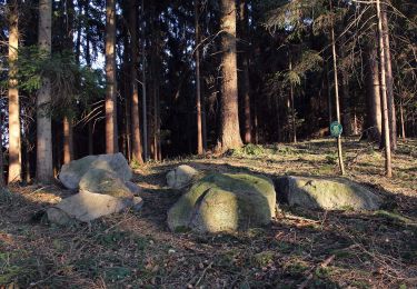 Randonnée A pied Gemeinde Krumbach - Schloß Krumbach - Hochhalt - Steinkreis - Photo