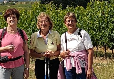 Randonnée Marche Bellevigne-en-Layon - Faye d'Anjou - Photo