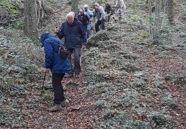 Tour Wandern Durbuy - bomal ac3 - Photo