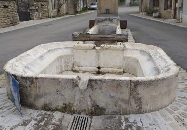 Percorso Marcia Taxenne - taxenne - Photo