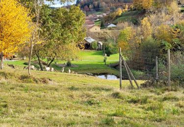 Percorso Marcia Vieux-Moulin - Vieux-Moulin 