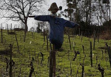 Randonnée Marche Buzet-sur-Baïse - Buzet - Photo