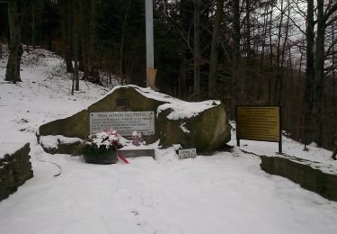 Tour Zu Fuß Wolfsdorf - Szlak Papieski - Photo