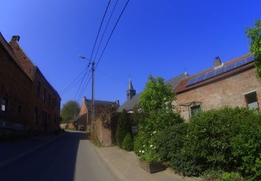 Tocht Mountainbike 's-Gravenbrakel - ronquiéres 50 - Photo