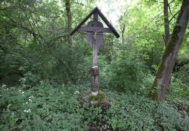 Percorso A piedi Seßlach - Grenzlandweg - Photo