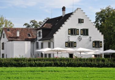 Tocht Te voet Brütten - Effretikon - Wülflingen - Photo
