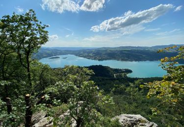 Tour Wandern Aiguebelette-le-Lac - L’épine et le lac d’Aiguebelette  - Photo