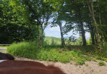 Tour Reiten Traize - 202405 Traize boucle 14km - Photo