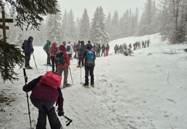 Percorso Racchette da neve Giron - giron - Photo