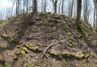 Tour Zu Fuß Ebermannstadt - Rundweg Schlüsselstein - Photo