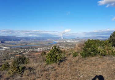 Trail Walking Châteauneuf-du-Rhône - Le Navon et le Défilé de Donzère 11km - Photo