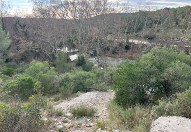 Trail Walking Prades-le-Lez - Restinclières - Photo