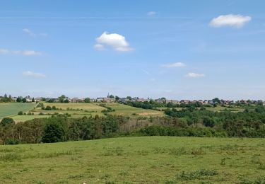 Trail Walking Fosses-la-Ville - Vitrival - Photo
