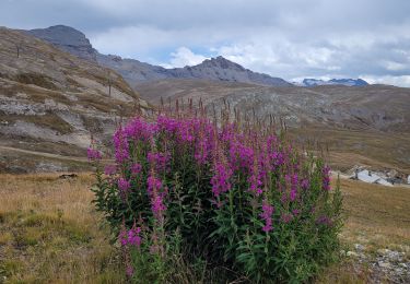 Randonnée Marche Bonneval-sur-Arc - pointe et aiguille Pers - Photo
