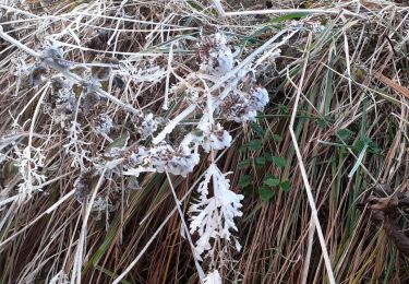 Trail Walking Apremont - pointe de la gorgeat par col granier - Photo