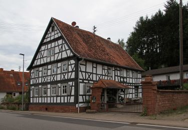 Tocht Te voet Bobenthal - Hirzeck-Gipfel-Steig - Photo