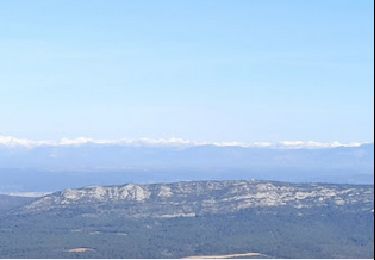 Trail Walking Jouques - Concors  Loli 31 01 2023 - Photo