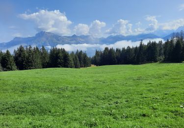 Trail Walking Combloux - cuchet -sommet des Salles -cuchet - Photo