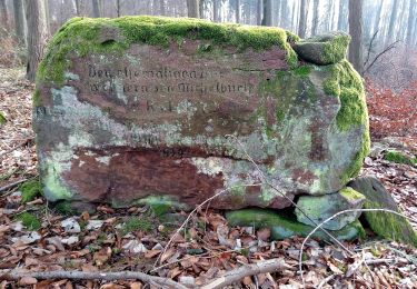 Randonnée A pied Neckarsteinach - Rundwanderweg Neckarsteinach Kreuzschlag 4: Felsenmeer-Weg - Photo