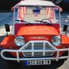  minimoke