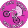  vieuxcochonsseillonnais